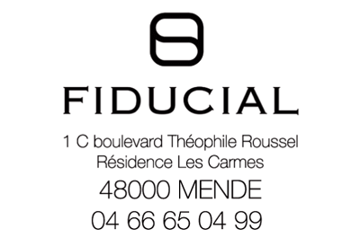 fiducial