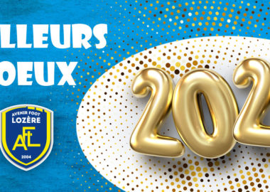 voeux-2021-site-afl