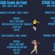 stage-toussaint-2023-ecoledefoot-afl